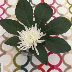 Meet your Posher, Suzanne